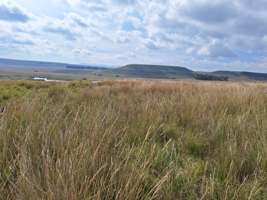 11 Bedroom Property for Sale in Vrede Free State